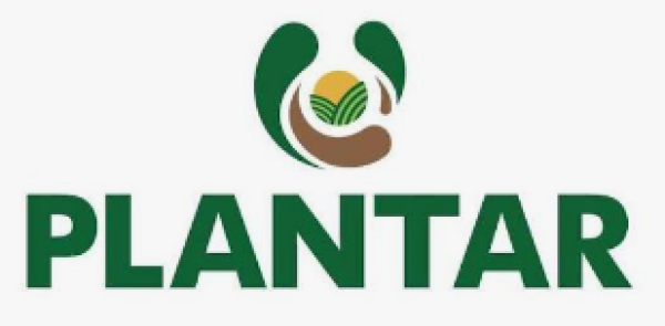 Plantar